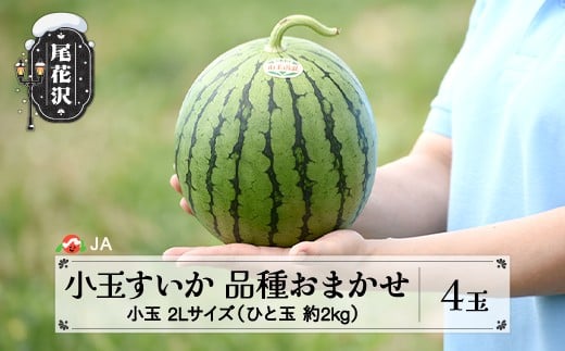 
            先行予約 尾花沢産小玉すいか 2Lサイズ 約2kg×4玉 7月中旬～7月下旬頃発送  品種おまかせ ひとりじめ もしくは ピノガール 2026年産 令和8年産 小玉 すいか スイカ 西瓜 果物 フルーツ 産地直送 山形県 尾花沢市 JA ja-suk2x4
          