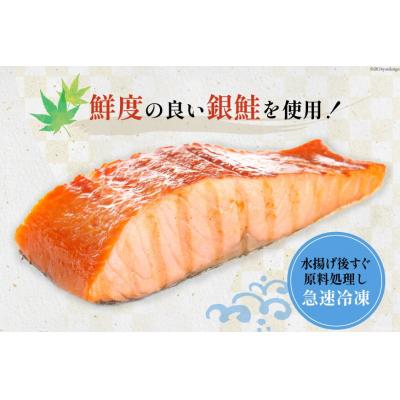 ふるさと納税 気仙沼市 訳あり 銀鮭 切身 骨取り 無塩 1.5kg バラ入れ 大袋 [足利本店 20564101] |  | 02