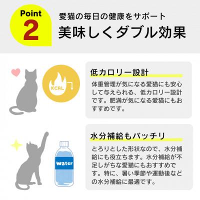 ふるさと納税 久留米市 とろーりおやつ 猫用(下部尿路に配慮 ツナ&かつお節味)140g×48個(久留米市) |  | 03