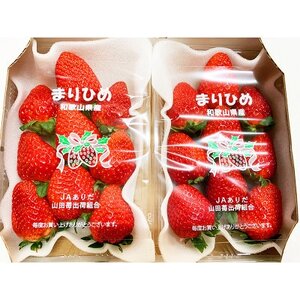 紀州和歌山ブランドいちご「まりひめ」約280g×2P【配送不可地域：離島・北海道・沖縄県】【1343154】