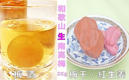 【梅干・梅酒用】（4L－2Kg）熟南高梅＜2024年6月中旬～7月7日発送予定＞