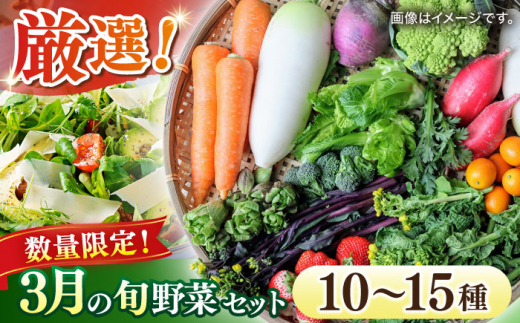 【数量限定】厳選！旬を味わう高槻野菜おまかせ詰め合わせセット 3月（10種～15種）　大阪府高槻市/高槻あぐり[AOCS009] [AOCS009]