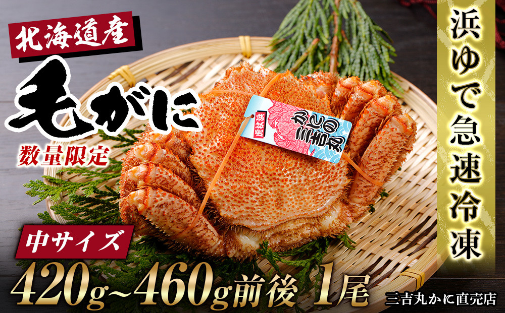 
            【中サイズ】北海道産 冷凍ボイル毛ガニ (420g-460g前後)1尾 
          