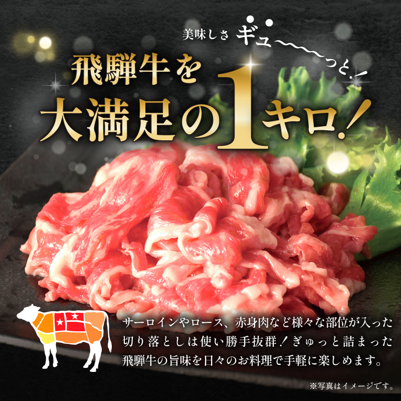 飛騨牛切り落とし（250ｇ×4）【0016-019】_イメージ2