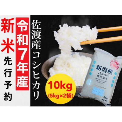 ふるさと納税 佐渡市 【令和7年産】佐渡産コシヒカリ 5kg×2袋セット