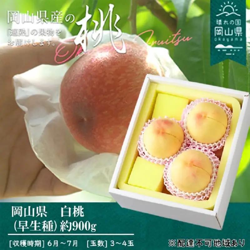 桃 2026年 先行予約 桃 早生種 約900g 3～4玉 岡山県産 桃