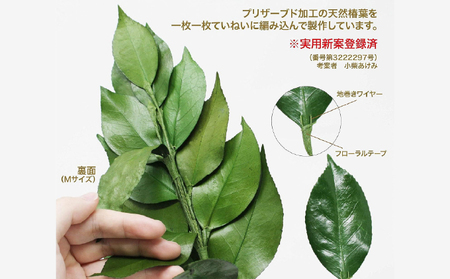 プリザーブド 榊 SSサイズ（1対 2束）【天然 国産 サカキ 神棚 神具 祭壇 玉串 神事 仏壇 仏花 お供え お墓 お盆 お彼岸 新盆 祭 水かえ不要 枯れない プリザーブドフラワー】