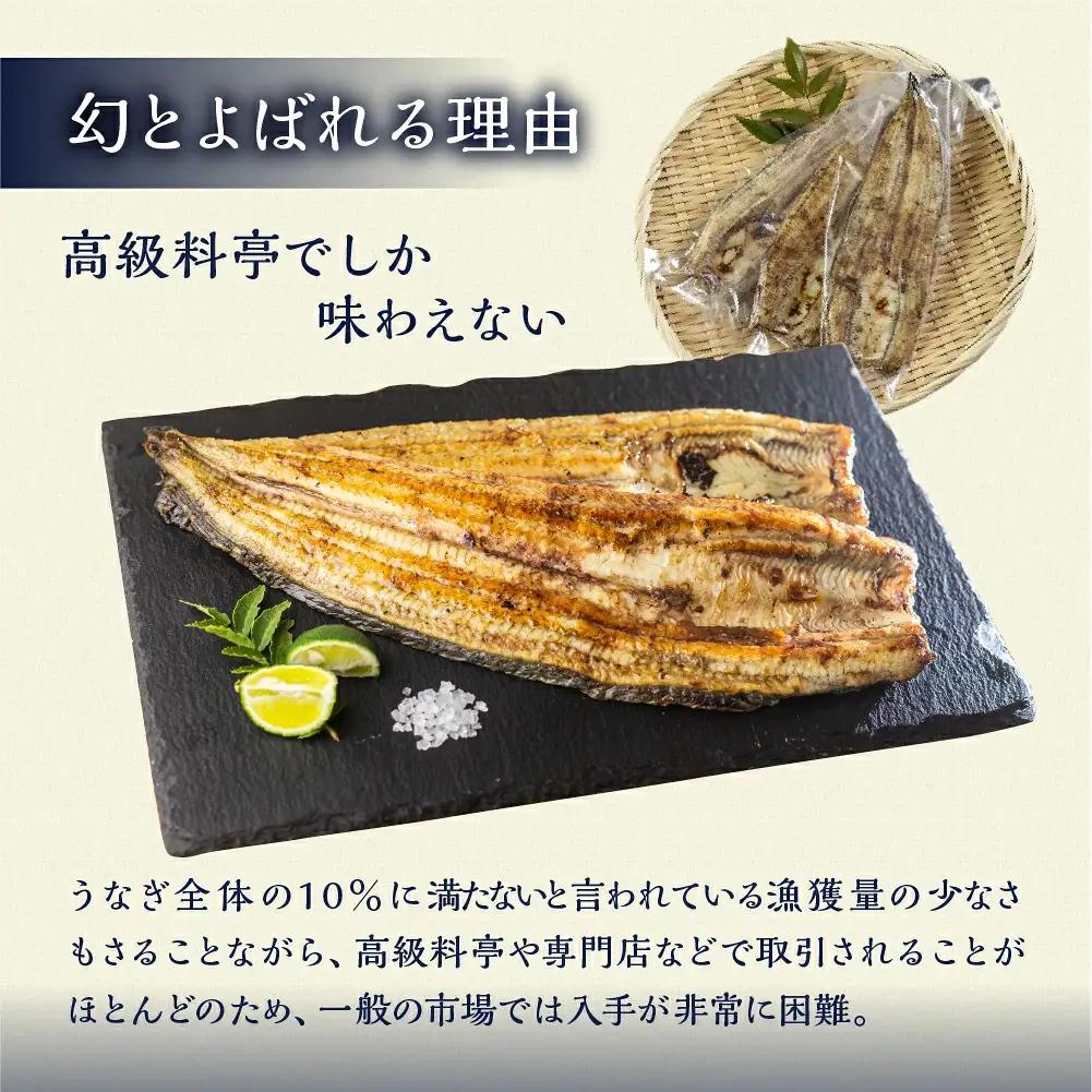 最高級 特上 幻の青うなぎ 6尾 うなぎ 白焼 