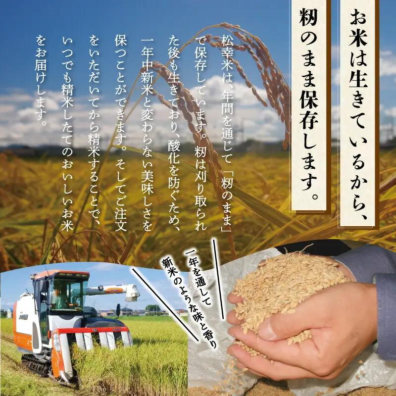 食物繊維 たっぷり ６穀入った 禄穀米 ふるさと納税 ふるさと 米 コメ こめ おこめ ギフト プレゼント お祝い返礼品 三重米 お米 精米 こしひかり コシヒカリ うるち米 もち米 ブランド米 国産