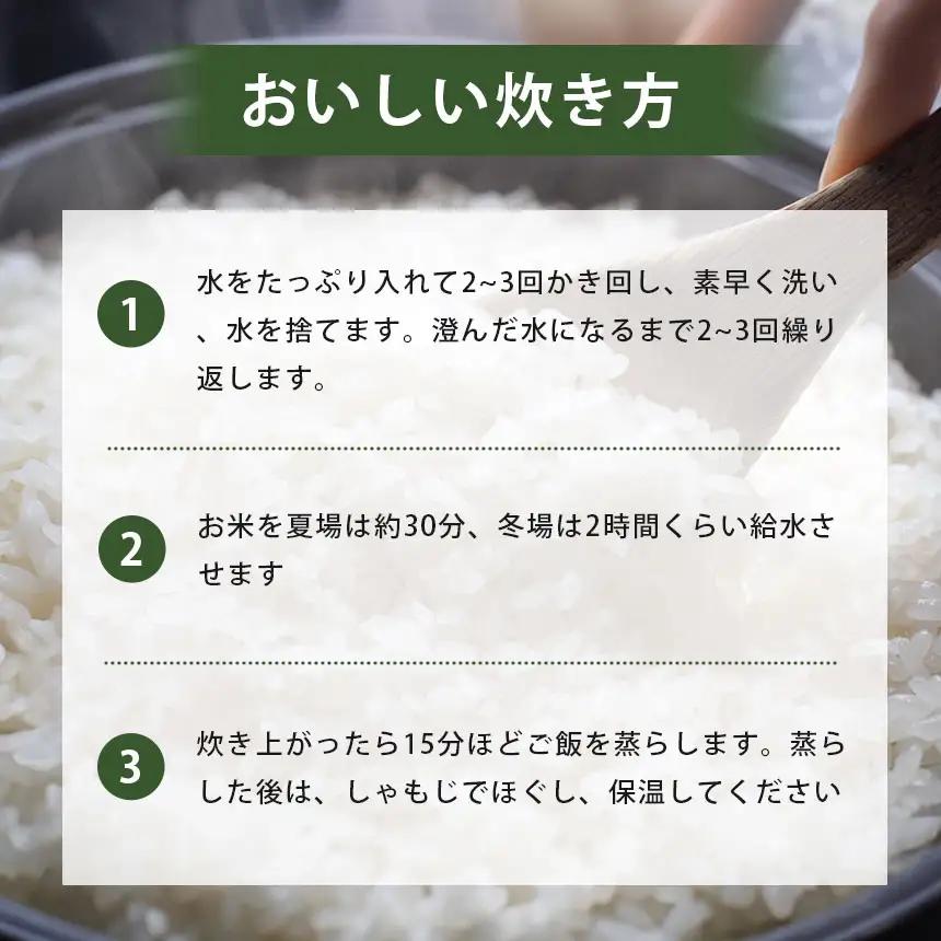 令和8年度産 新米 晴るる 白米 20kg 村上農園 先行予約 ＜ 2026年9月下旬より11月末まで順次発送 ＞
