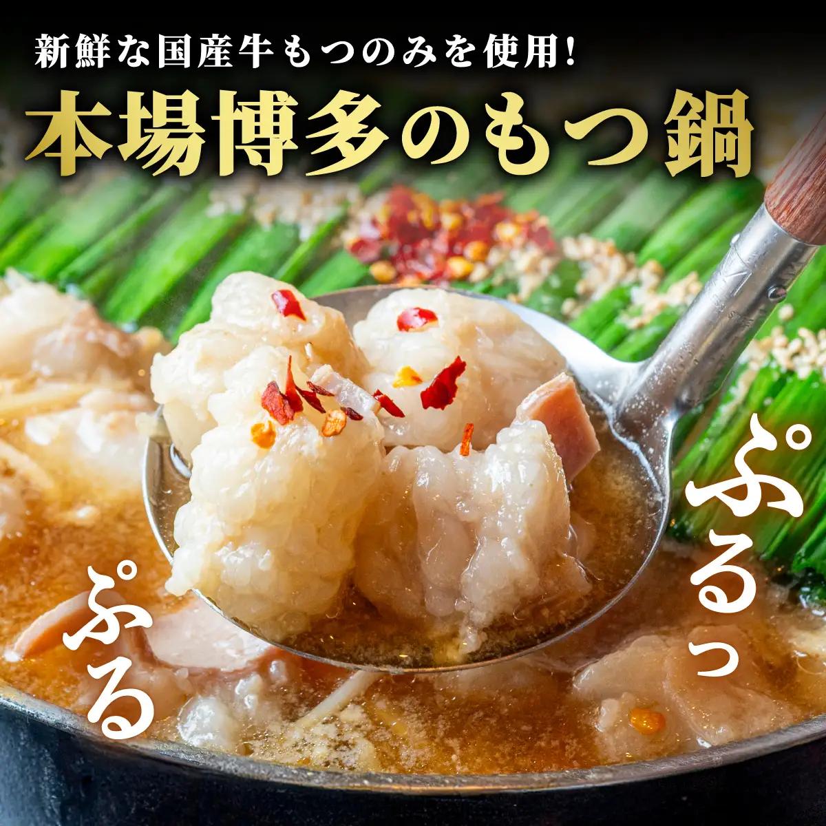 牛もつ鍋おおいし 博多もつ鍋 味噌味（4～5人前）