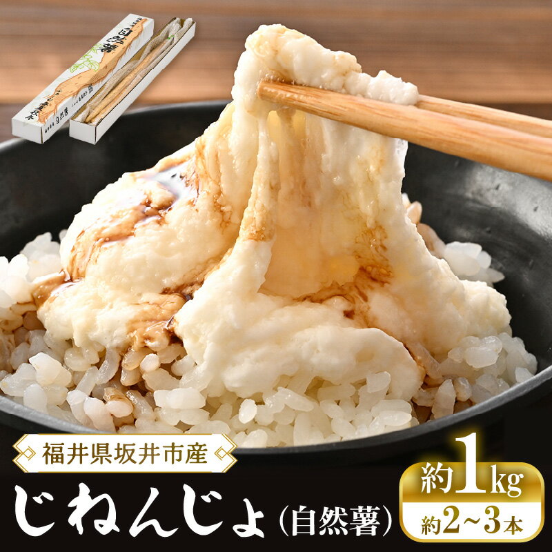 【ふるさと納税】【先行予約】 自然薯 1kg (2～3本) 福井県坂井市産 農家直送 【2026年12月中旬以降順次発送予定】 じねんじょ とろろ とろろご飯 山芋 やまいも 野菜 やさい 健康 滋養強壮 厳選 国産 産地直送