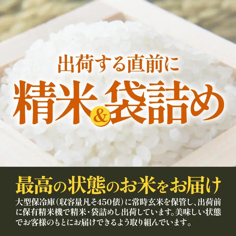 【先行予約】【令和8年産 新米】 エコ栽培ハナエチゼン　白米5kg×3回 計15kg ／ 鮮度抜群 福井県産 はなえちぜん ご飯 新鮮 白米 ※2026年9月上旬以降順次発送予定 [aw063-c01