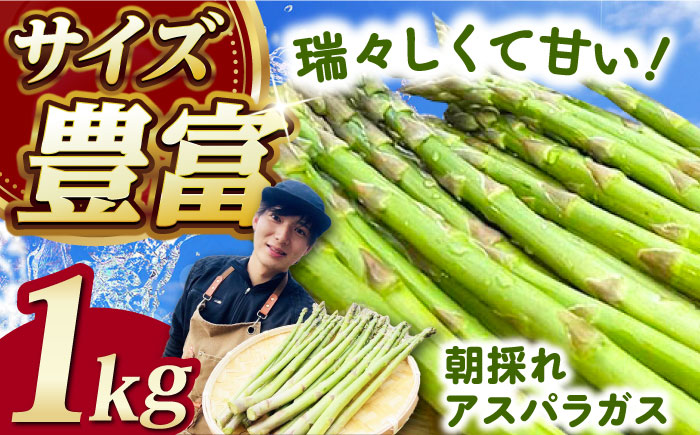 【3月中旬以降順次発送】朝採れアスパラガス１kg 《対馬市》【農家くんのアスパラファーム】  冷蔵 アスパラ とれたて 新鮮 野菜 産地直送 [WCT001]