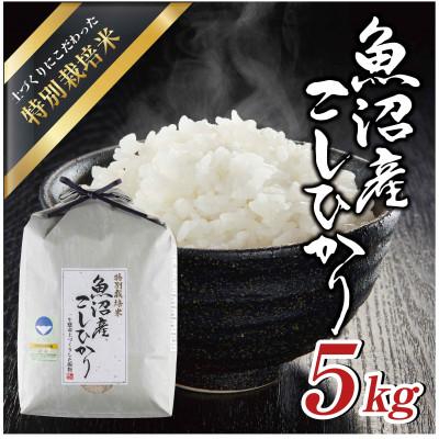 ふるさと納税 十日町市 【令和7年産】魚沼産コシヒカリ 特別栽培米 「魚沼三昧(R)」5kg×1袋 新潟県 十日町市