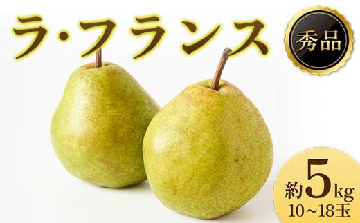 《2025年先行受付》ラ・フランス 秀品 10～18玉 約5kg  なし ナシ 梨 デザート フルーツ 果物 くだもの 果実 食品 山形県 FSY-1918