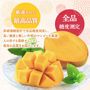 【数量限定】鹿児島 与論島アップルマンゴー特A秀品３個約１kg 化粧箱入り【先行予約】| マンゴー