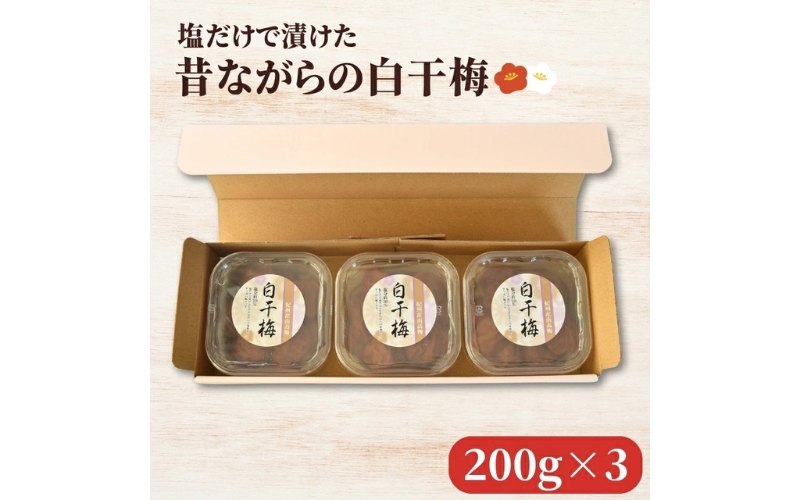 紀州南高梅 塩だけで漬けた昔ながらの白干梅3個詰め合わせ 200g×3パック 塩分約20％ 【hjumys025】