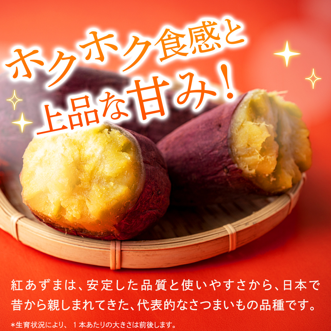 紅あずま 約2.5kg （6回 定期便 ）（茨城県共通返礼品 [さつまいも]：行方市産） 6か月定期便 定期便 さつまいも サツマイモ べにあずま 芋 いも 野菜 根菜  茨城県産 お取り寄せ 野菜 