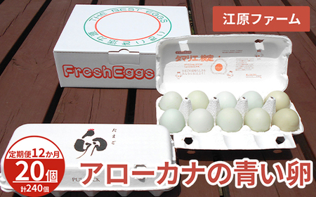 【定期便12か月】 江原ファーム　アローカナの青い卵（20個）| 卵 たまご タマゴ _AG30