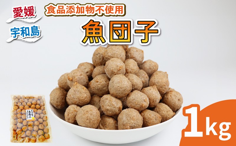 
                  じゃこ天 魚団子 1kg 食品添加物不使用 特定原材料8品目不使用 宇和島練り物工房みよし C010-061009
                