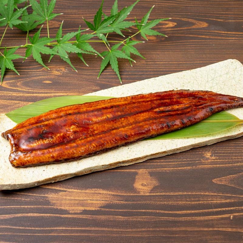 鹿児島産超特大うなぎ蒲焼(無頭) (計960g以上・240g以上×4尾) 鰻 蒲焼き 真空パック【株式会社財宝】B214