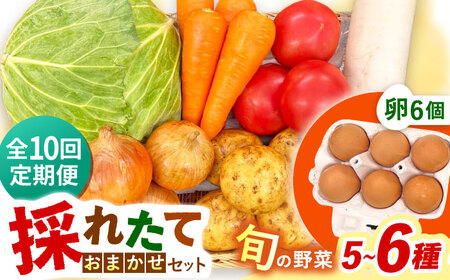【全10回定期便】採れたてお野菜おまかせ（5～6種）・卵6個セット/ 野菜 やさい 野菜セット 野菜詰め合わせ 詰め合わせ セット たまご 卵 タマゴ 紅たまご こだまさんち / 大村市 / かとりストアー[ACAN131]