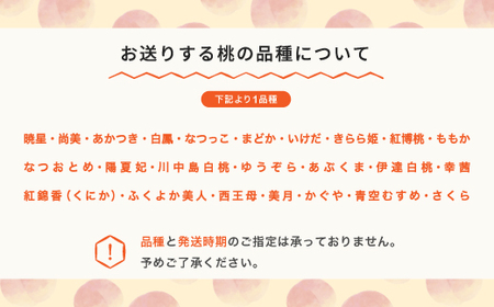 もも 桃 品種おまかせ 約1.4kg 令和6年産 2024年産 山形県産 果物 mm-moomx1400 ※沖縄・離島への配送不可