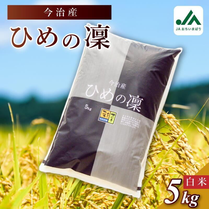 【ふるさと納税】【令和6年産】今治産 米「ひめの凜」 5kg・10kg【VB01580】こだわり製法 国産 白米 精米 お米 コメ ギフト 産地直送米 グルメ 家庭応援 ご当地 特産品 JA