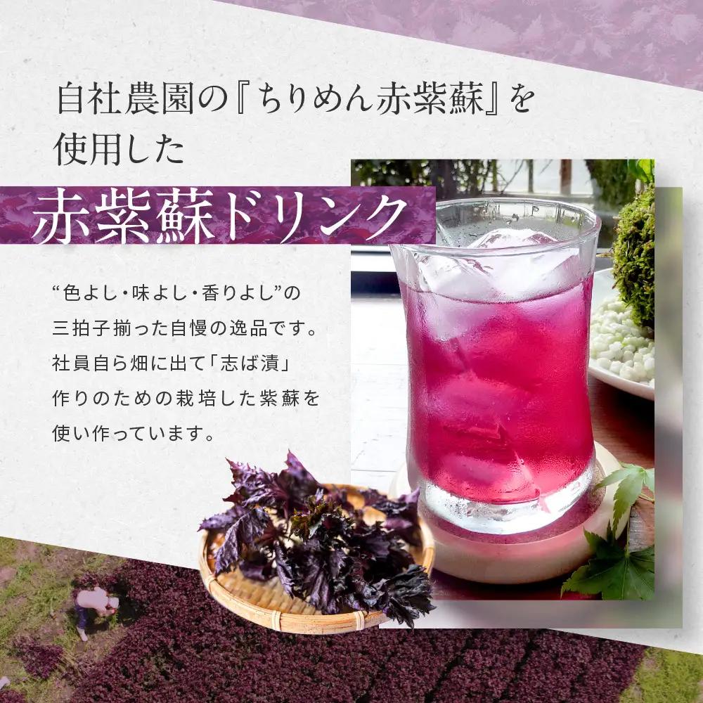 【土井志ば漬本舗】京都大原ちりめん赤紫蘇ジュース 180ml×10本｜赤紫蘇ジュース ドリンク 人気セット