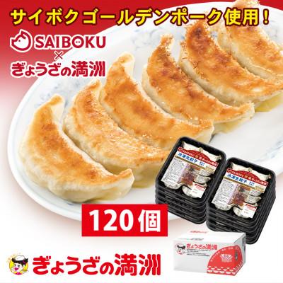 ふるさと納税 日高市 プレミアム冷凍生餃子120個(SAIBOKU×ぎょうざの満洲)