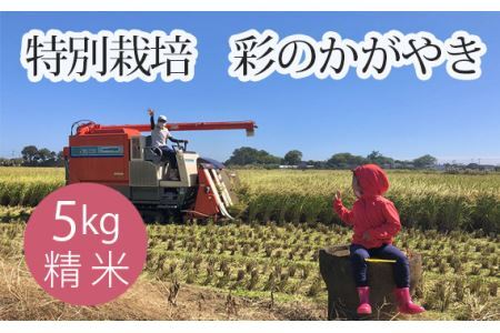 特別栽培 彩のかがやき 精米５kg No.301