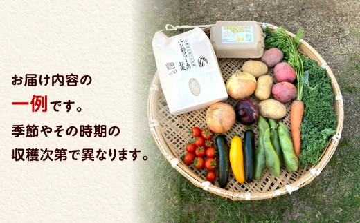 詰合せ 詰め合わせ つめあわせ セット 新鮮 産地直送 おまかせ 野菜 やさい 野菜セット 米 お米 卵 人気 おすすめ