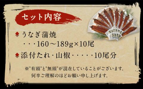 【丑の日／配達日指定可能】鰻天屋の九州産うなぎ 蒲焼 10尾 セット (1尾あたり160～189g)