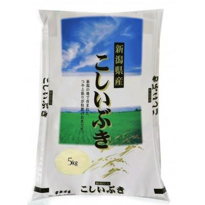 ふるさと納税 糸魚川市 【令和8年産】こしいぶき　5kg　白米　新潟県糸魚川市能生谷産 |  | 01