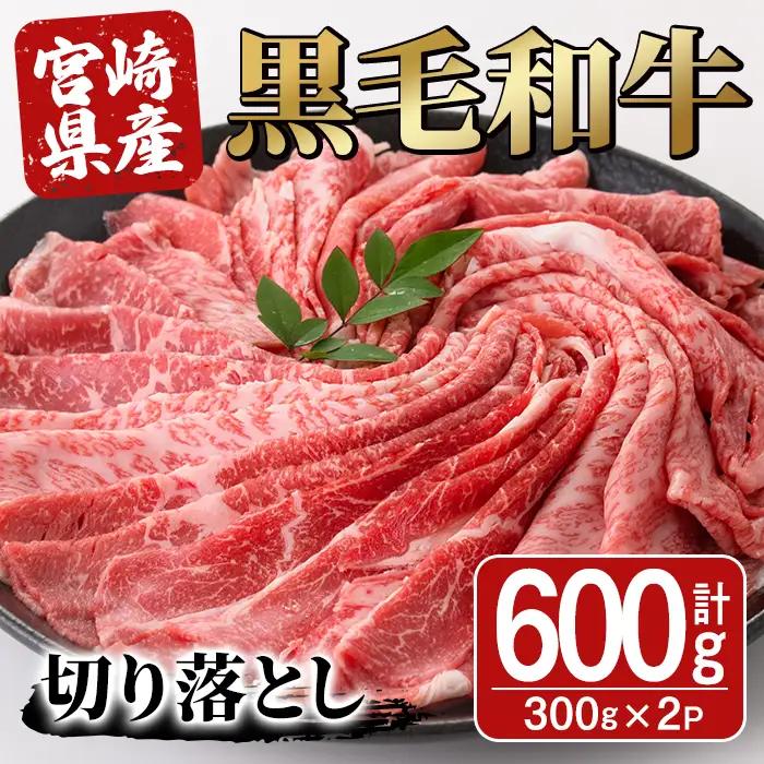 宮崎県産黒毛和牛切り落とし(600g・300g×2P)【SJ009】【日本ハムマーケティング株式会社】