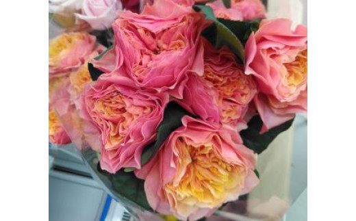 薔薇の花束単色10本セット【ケンジントンガーデン（オレンジピンク色）】