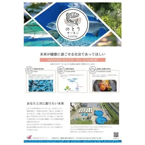 サーモン 朝倉市産 のとりサーモン 650g 魚 冷凍 ※配送不可:離島