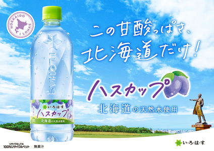  ★北海道限定 フレーバー★い・ろ・は・す ハスカップ　540mlPET×48本 いろはす ミネラルウォーター 計48本 飲料 札幌市 いろはす