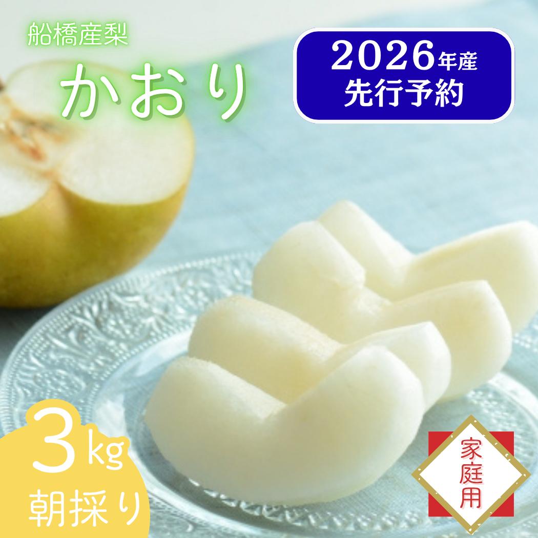 
                  【2026年産先行予約】＜家庭用＞果汁たっぷりの極上梨「かおり・3kg」4～5玉 千葉県 船橋市産
                