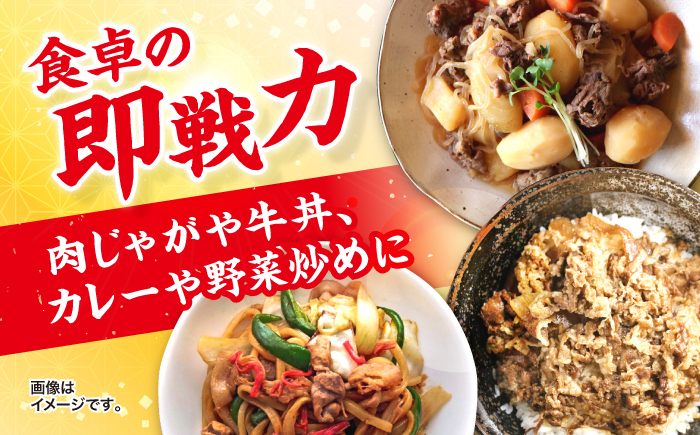 【小分けで使いやすい】九州産黒毛和牛 切り落とし 約1kg（約500g×2パック） ＜宮本畜産＞ [CFA001]