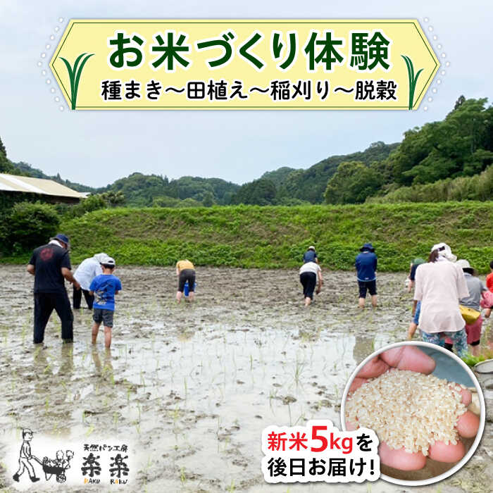 【ふるさと納税】お米づくり 体験チケット 糸島市 / 天然パン工房楽楽【いとしまごころ】 [AVC065] 米 体験 18000円