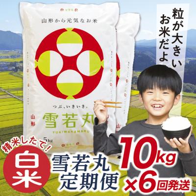 ふるさと納税 最上町 【発送月固定定期便】買い忘れなしで美味しい雪若丸10kg(白米)が届く全6回