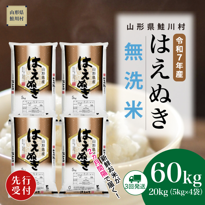 ＜令和7年産米先行受付＞ 鮭川村産 はえぬき 【無洗米】60kg定期便(20kg×3回)　配送時期指定できます！