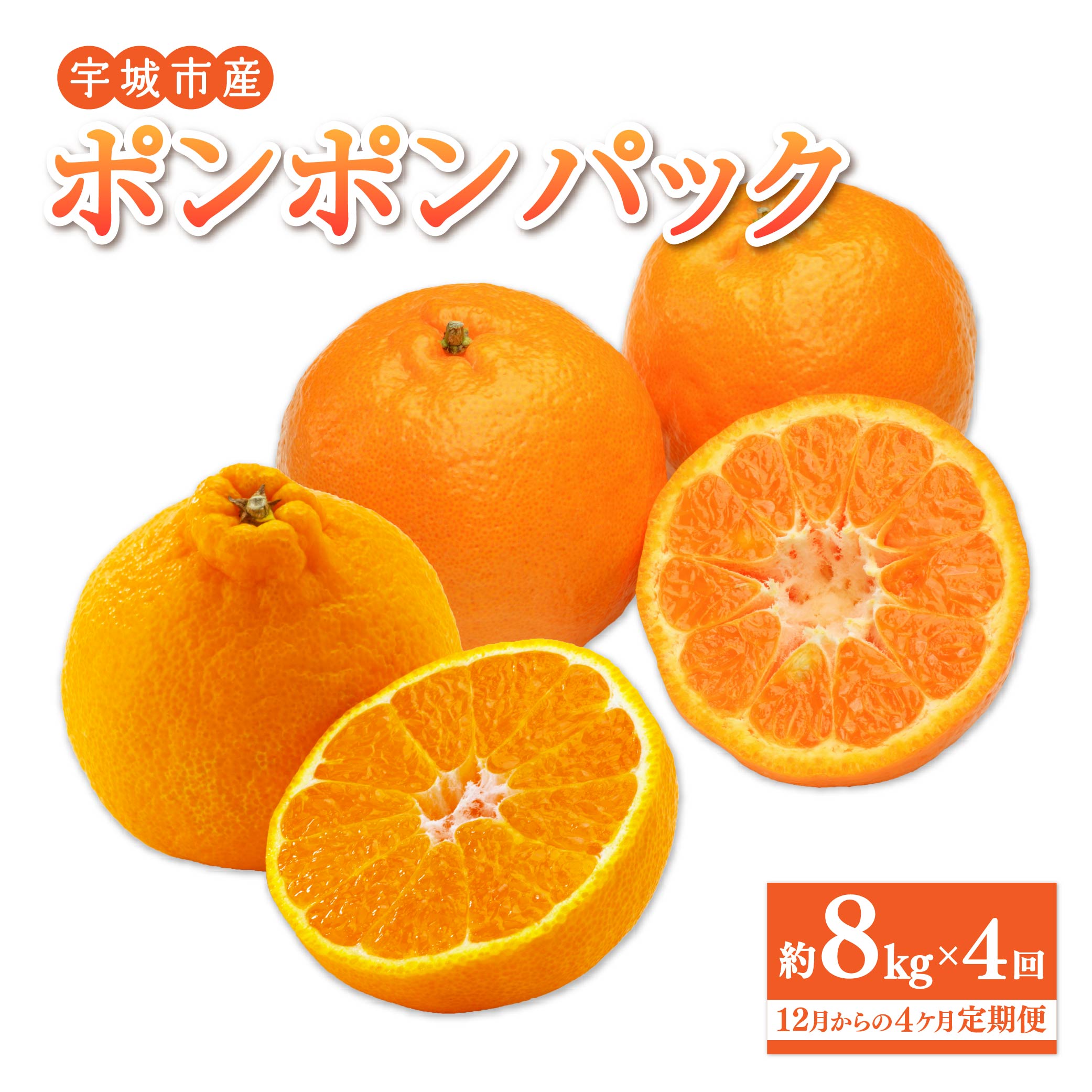 【ふるさと納税】先行予約 みかん定期便 ポンポンパック (ポンカン 約8kg×2回 不知火 約8kg×2回) 合計32kg 【12月からの4カ月定期便】 ぽんかん 椪柑 しらぬい 柑橘 みかん ミカン 蜜柑 フルーツ くだもの 果物 定期 セット 宇城市産 熊本県産 九州産 国産 ひでみかん