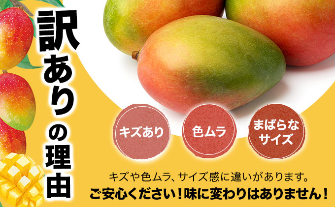 【2027年6月下旬より順次発送】★訳あり★沖縄県豊見城市産アップルマンゴー 約2kg｜マンゴー アップルマンゴー 訳あり わけあり フルーツ くだもの 果物 先行予約 数量限定 おきなわ 沖縄 沖縄