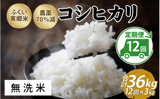 【定期便12ヶ月連続】令和6年産 ふくい東郷米　特別栽培米　農薬70％減コシヒカリ 3kg×12ヶ月 合計36kg【無洗米】[J-020024_04]