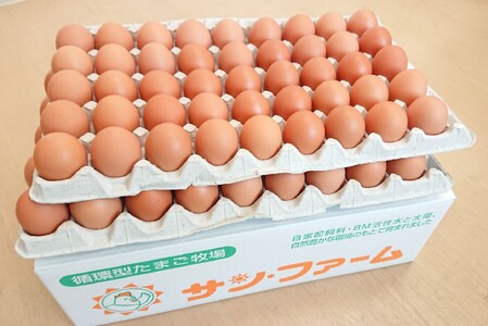 卵 朝採り あかね たまご 90個（Mサイズ）卵 10個破損補償含む 鶏卵 赤鶏の卵