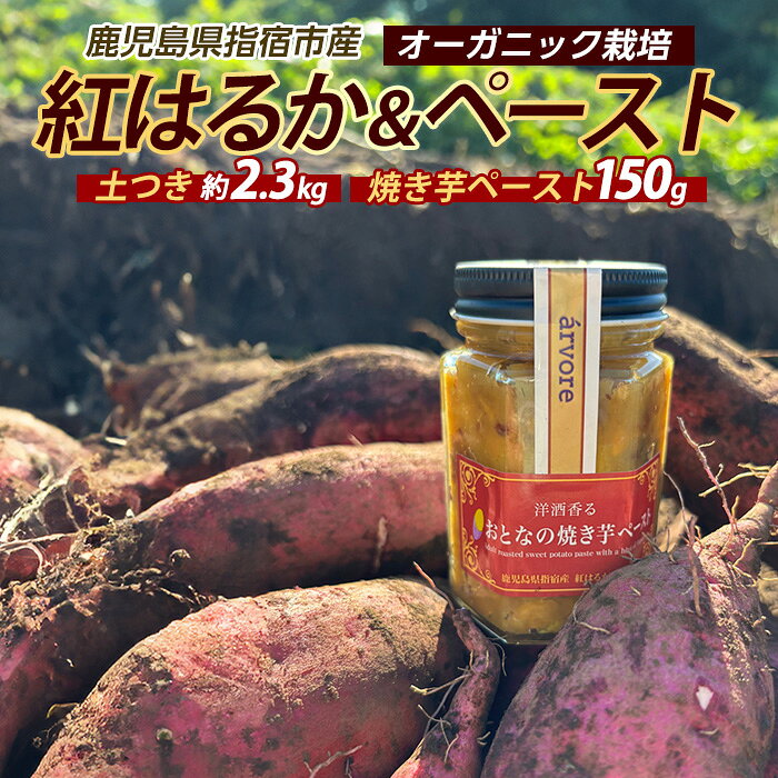 【ふるさと納税】紅はるか約2.3kg・おとなの焼き芋ペースト1瓶セット さつまいも 芋 紅はるか 焼き芋 手作り オーガニック栽培 【マツキアグリ】