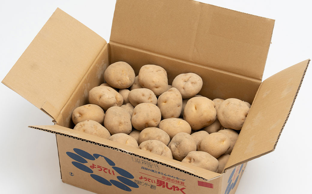じゃがいも 男爵 Lサイズ 約10kg×1箱 計約10kg （JA）